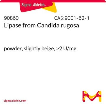 Lipase from Candida rugosa powder, slightly beige, &gt;2&#160;U/mg