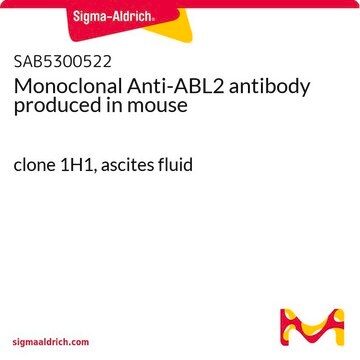 Monoclonal Anti-ABL2 antibody produced in mouse clone 1H1, ascites fluid