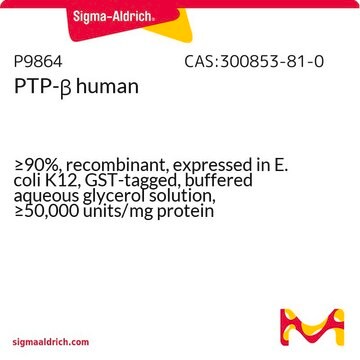 PTP-&#946; human &#8805;90%, recombinant, expressed in E. coli K12, GST-tagged, buffered aqueous glycerol solution, &#8805;50,000&#160;units/mg protein