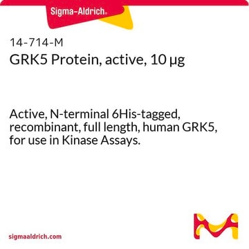 GRK5 Protein, active, 10 &#181;g Active, N-terminal 6His-tagged, recombinant, full length, human GRK5, for use in Kinase Assays.