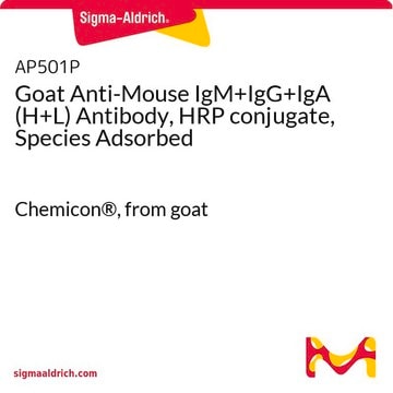 Goat Anti-Mouse IgM+IgG+IgA (H+L) Antibody, HRP conjugate, Species Adsorbed Chemicon&#174;, from goat