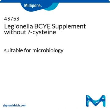 Legionella BCYE Supplement without L-cysteine suitable for microbiology