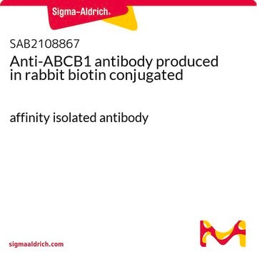 Anti-ABCB1 antibody produced in rabbit biotin conjugated affinity isolated antibody