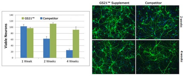 GS21&#8482; Supplement (50X) Serum-free Neural Media Supplement