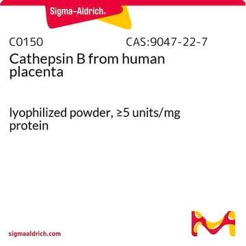 组织蛋白酶B 来源于人类胎盘 lyophilized powder, &#8805;5&#160;units/mg protein