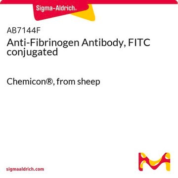 Anticorps anti-fibrinogène, conjugué au FITC Chemicon&#174;, from sheep