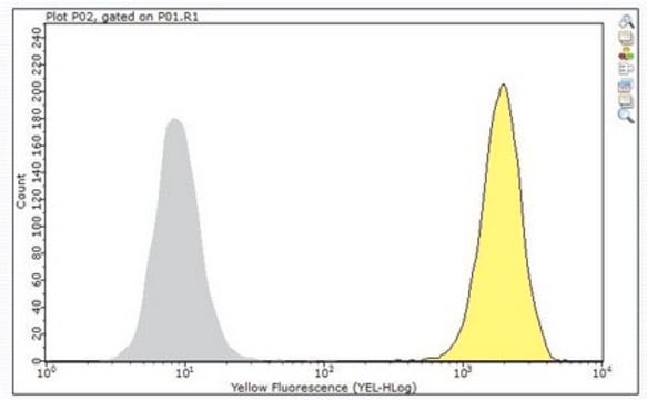 Przeciwciało anty-CD46, klon TRA-2-10 clone TRA-2-10, from mouse