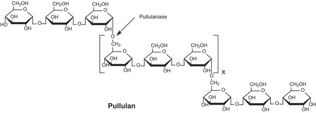 Pullulanase from Klebsiella pneumoniae ammonium sulfate suspension, &#8805;5&#160;units/mg protein (biuret)