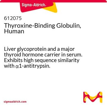 Thyroxine-Binding Globulin, Human Liver glycoprotein and a major thyroid hormone carrier in serum. Exhibits high sequence similarity with &#945;1-antitrypsin.