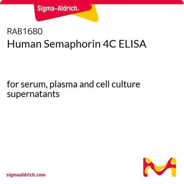 Human Semaphorin 4C ELISA for serum, plasma and cell culture supernatants