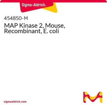 MAP Kinase 2, Mouse, Recombinant, E. coli