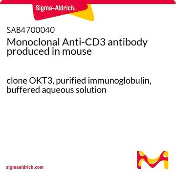 单克隆抗-CD3 小鼠抗 clone OKT3, purified immunoglobulin, buffered aqueous solution