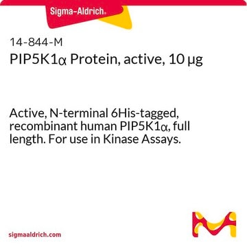 PIP5K1&#945; Protein, active, 10 &#181;g Active, N-terminal 6His-tagged, recombinant human PIP5K1&#945;, full length. For use in Kinase Assays.