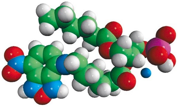 06:0-06:0 NBD PA Avanti Research&#8482; - A Croda Brand 810177P, powder