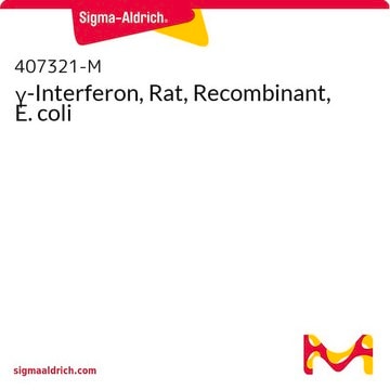 &#947;-Interferon, Rat, Recombinant, E. coli