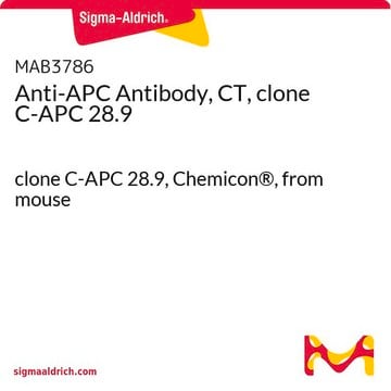 Anti-APC Antibody, CT, clone C-APC 28.9 clone C-APC 28.9, Chemicon&#174;, from mouse