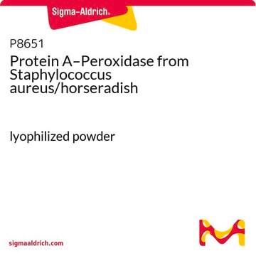 Proteína A–peroxidasa from Staphylococcus aureus/horseradish lyophilized powder