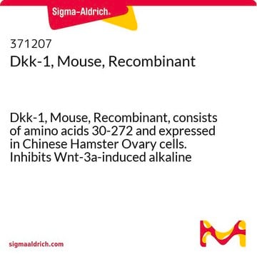 Dkk-1, Mouse, Recombinant Dkk-1, Mouse, Recombinant, consists of amino acids 30-272 and expressed in Chinese Hamster Ovary cells. Inhibits Wnt-3a-induced alkaline phosphatase production by MC3T3-E1 mouse osteoblastic cells.