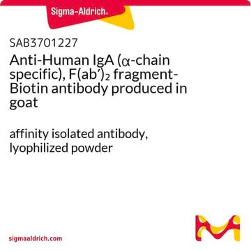 Anti-Human IgA (&#945;-chain specific), F(ab&#8242;)2 fragment-Biotin antibody produced in goat affinity isolated antibody, lyophilized powder