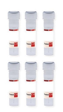 Preadipocyte Differentiation Medium SupplementPack containing all media supplements as individual vials, 1 Pack for 500 ml