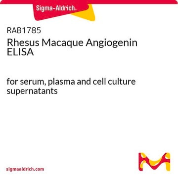 Rhesus Macaque Angiogenin ELISA for serum, plasma and cell culture supernatants