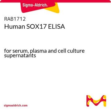 Human SOX17 ELISA for serum, plasma and cell culture supernatants