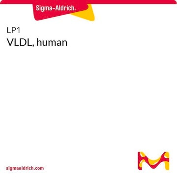 VLDL, humain