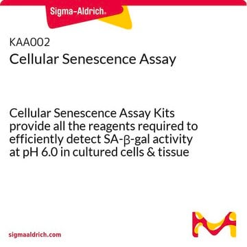 Dosage de la sénescence cellulaire Cellular Senescence Assay Kits provide all the reagents required to efficiently detect SA-&#946;-gal activity at pH 6.0 in cultured cells &amp; tissue sections.