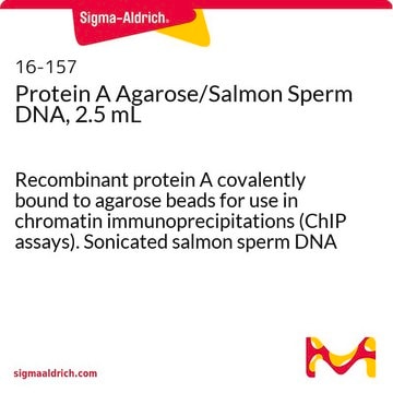 Agarose avec protéine&nbsp;A / ADN de sperme de saumon, 2,5&nbsp;ml for use in chromatin immunoprecipitations (ChIP assays)