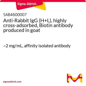 Anti-Rabbit IgG (H+L), highly cross-adsorbed, Biotin antibody produced in goat ~2&#160;mg/mL, affinity isolated antibody