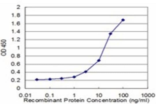 Monoclonal Anti-UBE2E3 antibody produced in mouse clone 4C4, purified immunoglobulin, buffered aqueous solution