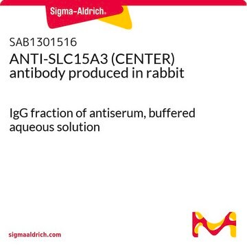 ANTI-SLC15A3 (CENTER) antibody produced in rabbit IgG fraction of antiserum, buffered aqueous solution