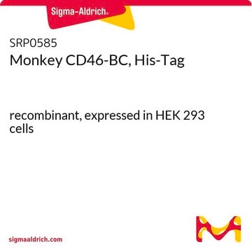 Monkey CD46-BC, His-Tag recombinant, expressed in HEK 293 cells