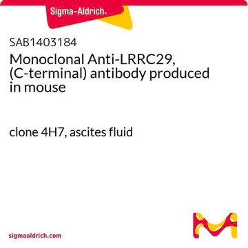 Monoclonal Anti-LRRC29, (C-terminal) antibody produced in mouse clone 4H7, ascites fluid