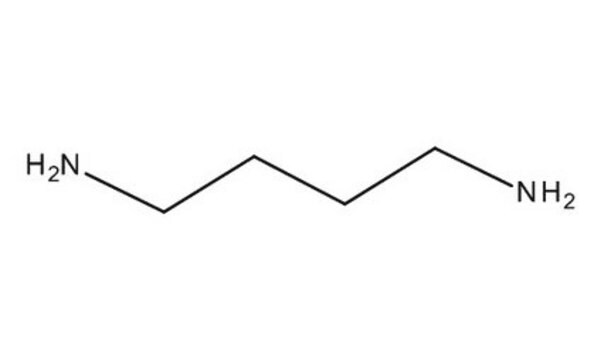 1,4-Diaminobutane for synthesis