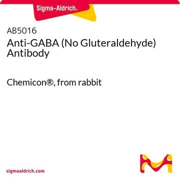 Anti-GABA (Kein Glutaraldehyd)-Antikörper Chemicon&#174;, from rabbit