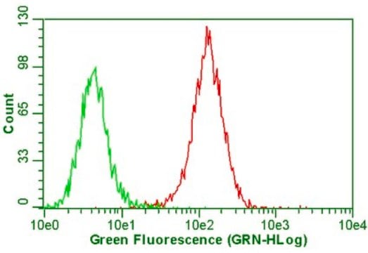 Anti-Integrin &#945;V&#946;5 Antibody, clone P1F6, azide free clone P1F6, Chemicon&#174;, from mouse