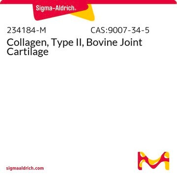 Collagen, Type II, Bovine Joint Cartilage