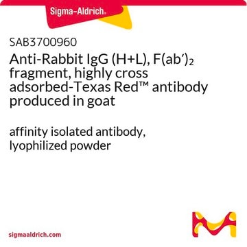 Anti-Rabbit IgG (H+L), F(ab&#8242;)2 fragment, highly cross adsorbed-Texas Red&#8482; antibody produced in goat affinity isolated antibody, lyophilized powder