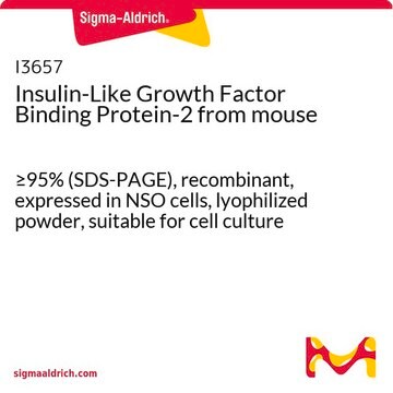 Insulin-Like Growth Factor Binding Protein-2 from mouse &#8805;95% (SDS-PAGE), recombinant, expressed in NSO cells, lyophilized powder, suitable for cell culture