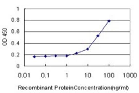 Monoclonal Anti-EGFL7, (C-terminal) antibody produced in mouse clone 3G1, purified immunoglobulin, buffered aqueous solution