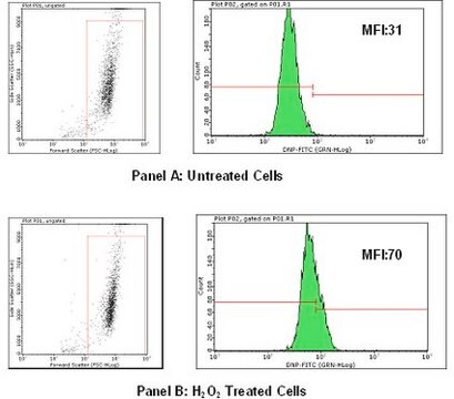 FlowCellect Oxidative Stress Characterization Kit Oxidative stress has been found to play a key role in a number of pathological disorders.