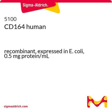 CD164 human recombinant, expressed in E. coli, 0.5&#160;mg protein/mL