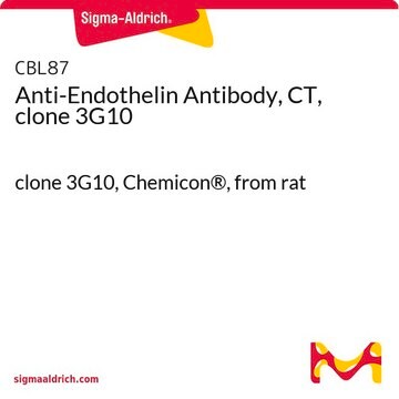 Anti-Endothelin Antibody, CT, clone 3G10 clone 3G10, Chemicon&#174;, from rat