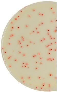 C. perfringens Millichrome&#8482; plus Agar Base selective for bacteria: Clostridium perfringens, suitable for microbiology