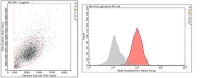 Anti-Integrin &#946;1 Antibody, clone MB1.2 Antibody, Alexa Fluor&#8482; 647 Conjugate clone MB1.2, from rat, ALEXA FLUOR&#8482; 647