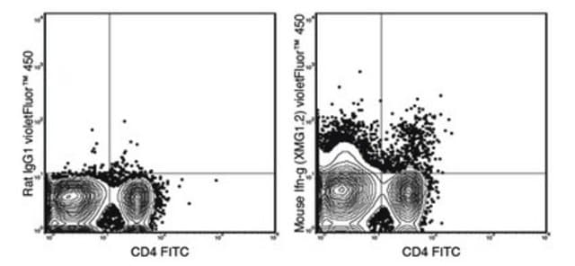 Anti-mouse IFN gamma, violetFluor&#174; 450, clone XMG1.2 Antibody clone XMG1.2, from rat, violetFluor&#174; 450