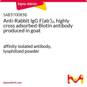 Anti-Rabbit IgG F(ab&#8242;)2, highly cross adsorbed-Biotin antibody produced in goat affinity isolated antibody, lyophilized powder