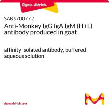 Anti-Monkey IgG IgA IgM (H+L) antibody produced in goat affinity isolated antibody, buffered aqueous solution