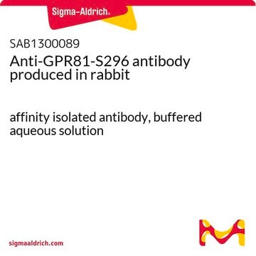 Anti-GPR81-S296 antibody produced in rabbit affinity isolated antibody, buffered aqueous solution